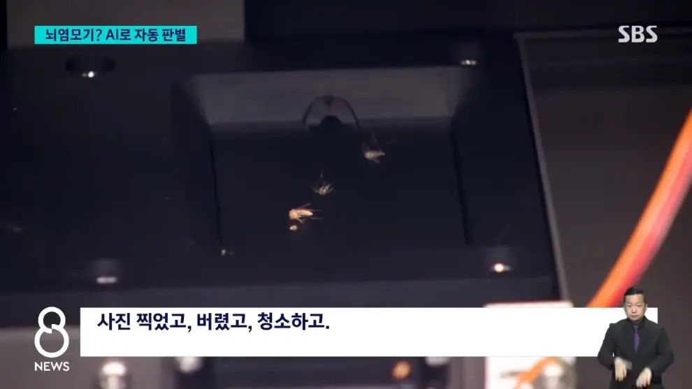 SBS 뉴스 - 모기 빨려 들어가더니 '전기 충격'.'세계 최초' 국내에서 개발 SBS 8뉴스 [v6I6wm0YQ64 - 990x557 - 0m43s].jpeg