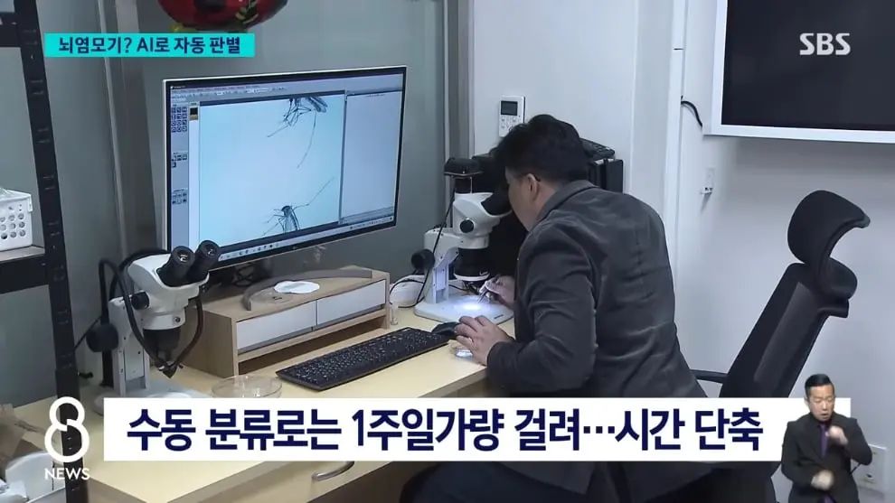 SBS 뉴스 - 모기 빨려 들어가더니 '전기 충격'.'세계 최초' 국내에서 개발 SBS 8뉴스 [v6I6wm0YQ64 - 990x557 - 1m05s].jpeg