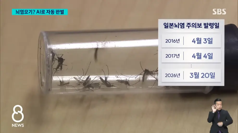 SBS 뉴스 - 모기 빨려 들어가더니 '전기 충격'.'세계 최초' 국내에서 개발 SBS 8뉴스 [v6I6wm0YQ64 - 990x557 - 1m29s].jpeg.png