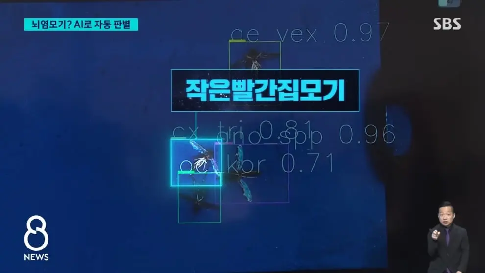 SBS 뉴스 - 모기 빨려 들어가더니 '전기 충격'.'세계 최초' 국내에서 개발 SBS 8뉴스 [v6I6wm0YQ64 - 990x557 - 0m55s].jpeg