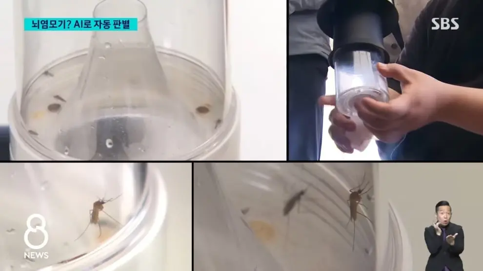 SBS 뉴스 - 모기 빨려 들어가더니 '전기 충격'.'세계 최초' 국내에서 개발 SBS 8뉴스 [v6I6wm0YQ64 - 990x557 - 0m35s].jpeg