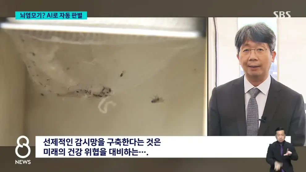 SBS 뉴스 - 모기 빨려 들어가더니 '전기 충격'.'세계 최초' 국내에서 개발 SBS 8뉴스 [v6I6wm0YQ64 - 990x557 - 1m43s].jpeg.png