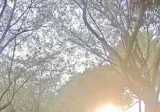 남자친구의 촬영 기술