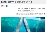 일본 수족관에 의외로 왜 있지 시발