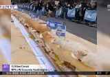 🌎 세계 최장 샌드위치 도전 행사가 아수라장이 된 이유 🥪