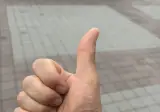 투표합시다
