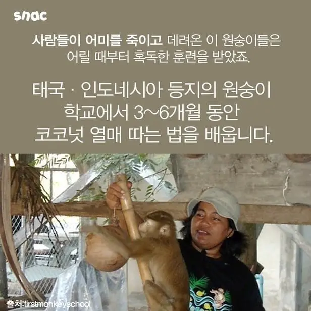 iloveanimal-20260529-145823-0004-7naflmAV.jpg