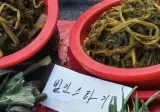 부산 사람들만 뜻을 알 수 있다고 하는 단어 jpg
