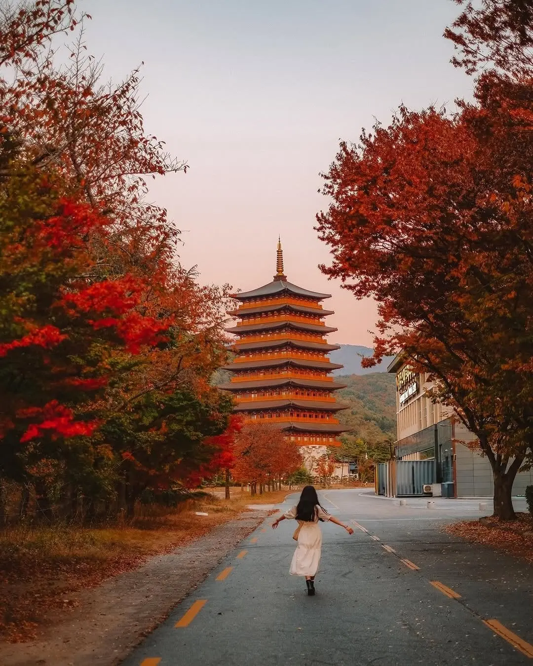 1000777130.jpg 교토처럼 되고  있는 경주 상황.jpg