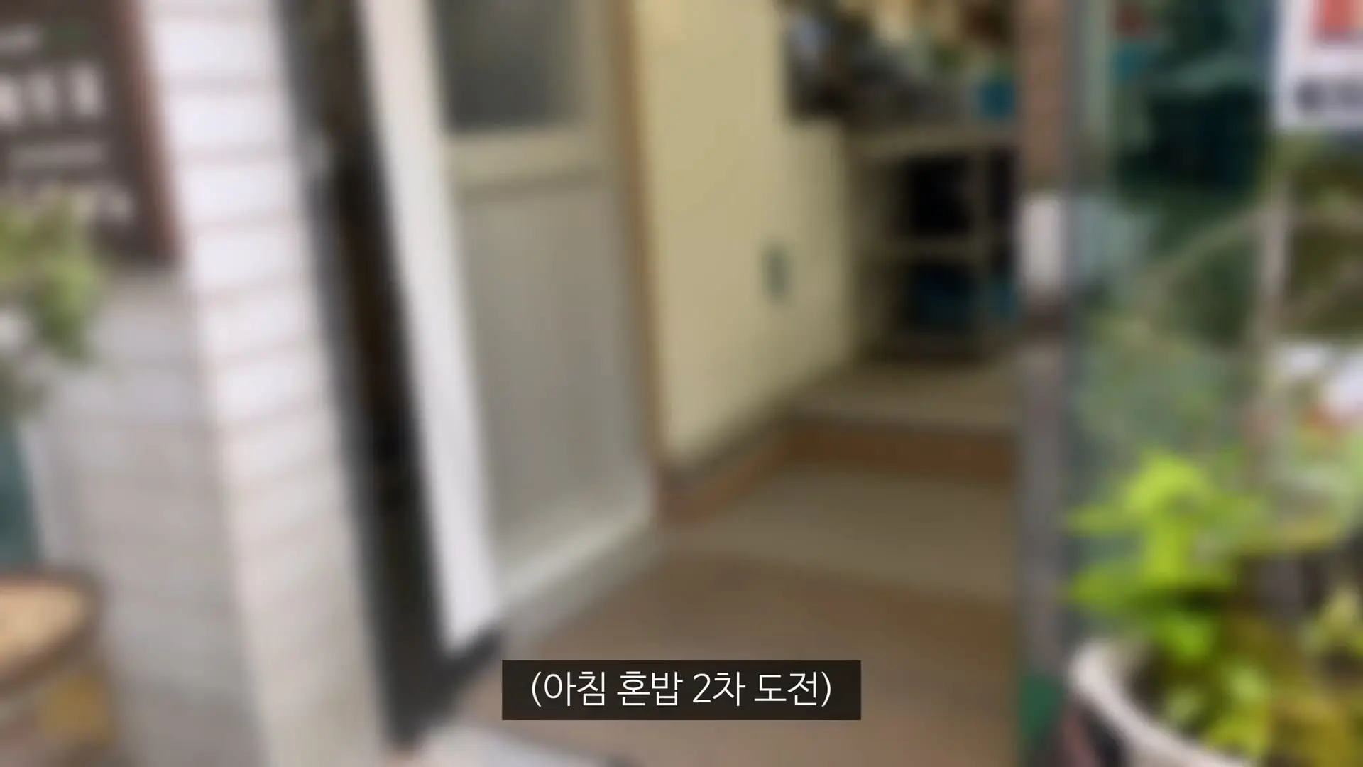 울릉도 1인 식사 거부 소문이 아니었습니다_20260530_094015.545.jpg