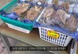 논란의 울릉도 최신 근황