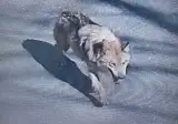 벌써 10년된 사건..