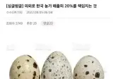의외로 한국 농가 매출의 20%를 책임지는 것.jpg