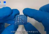 반도체 대 호황이 가져온 유튜브업계 신 메타 ㄷㄷ
