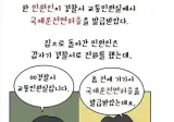 국제면허증을 발급 받았는데 남동생 이름이 적혀있어요