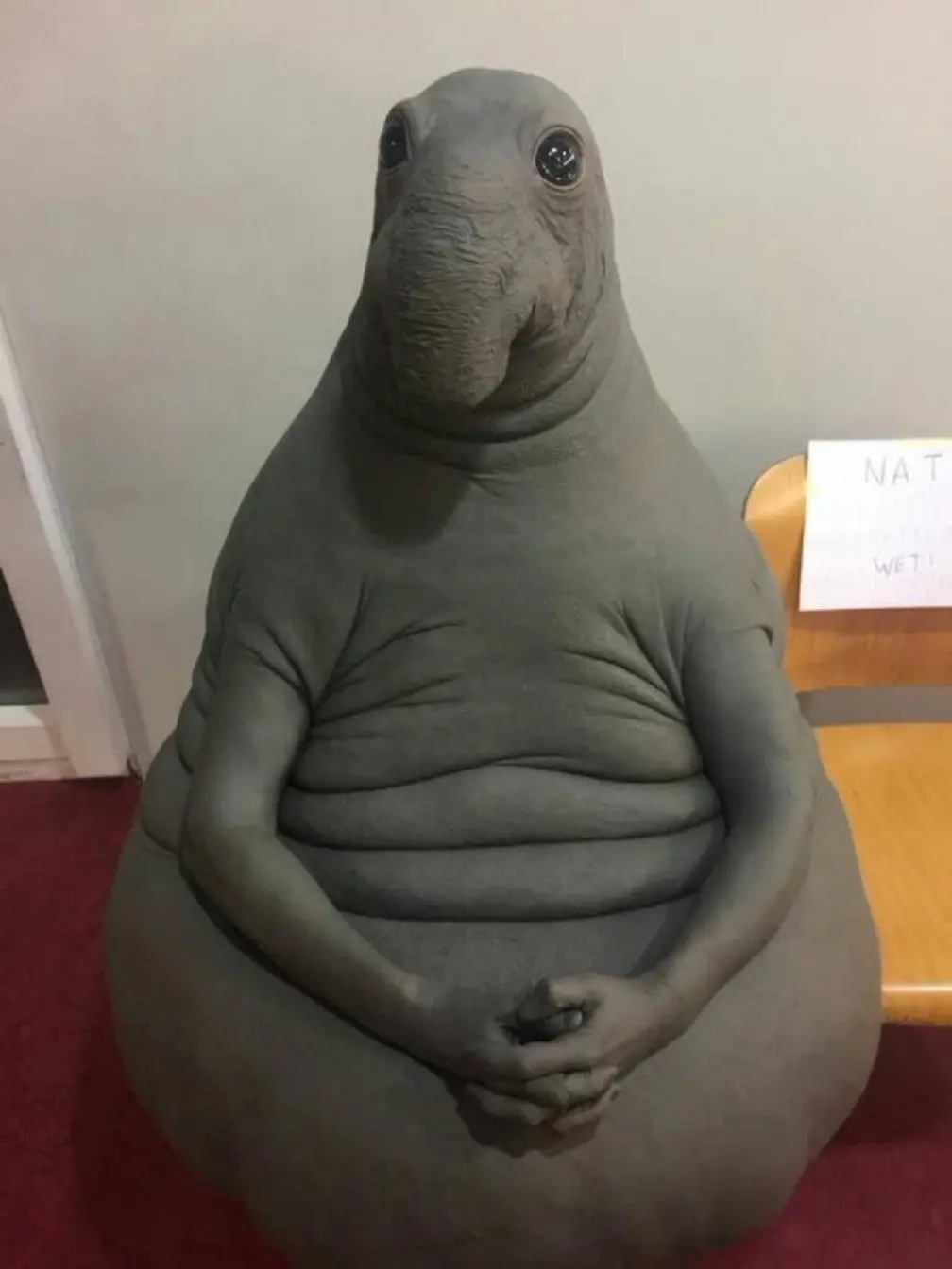 what-is-this-fella-v0-4fs5pwrxnq2a1.jpg
