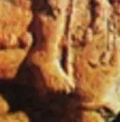 20260531_065933.jpg