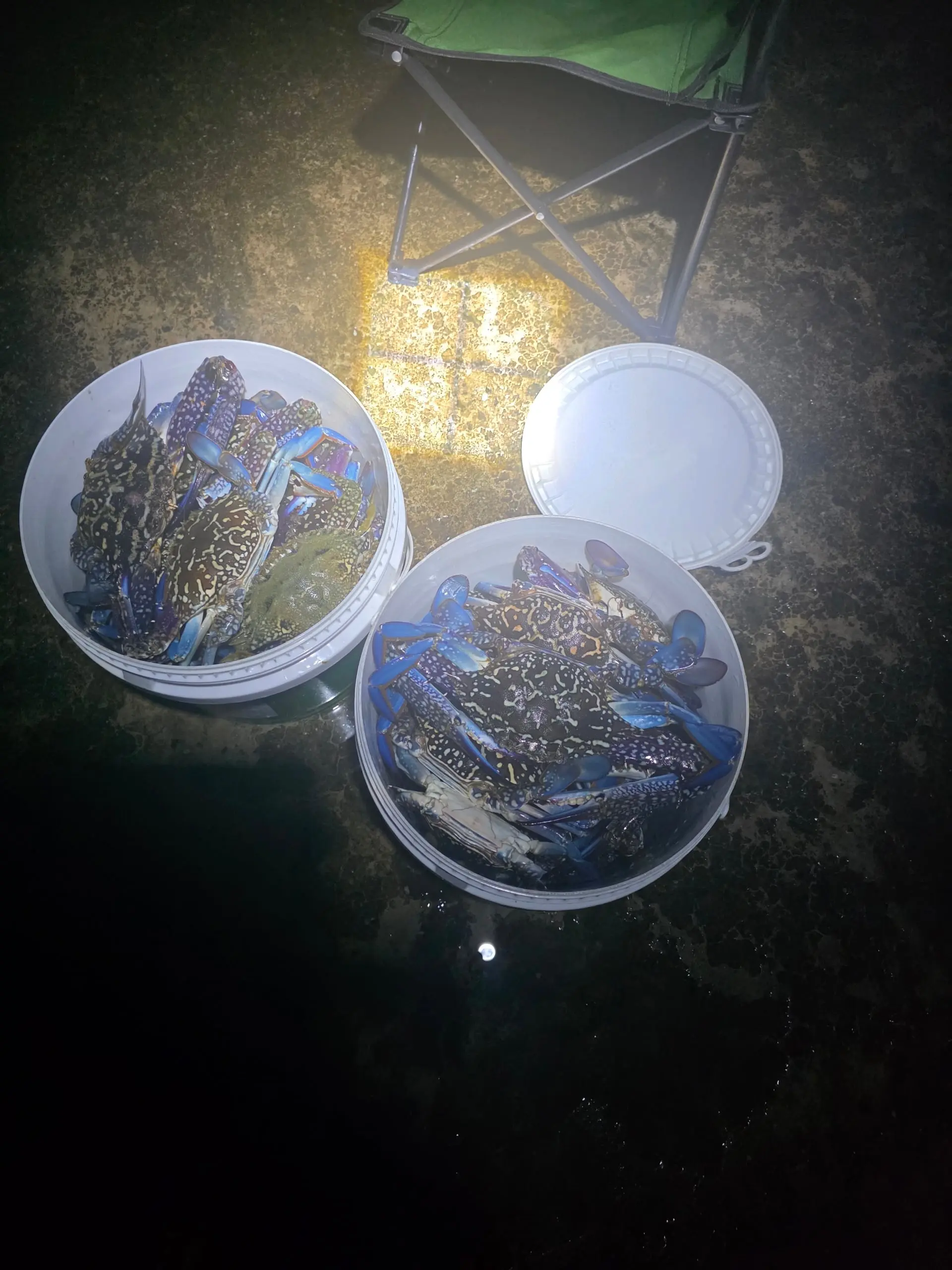Resized_20250926_222919.jpeg