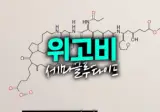 위고비 마운자로 넘어서는 미친놈 나옴