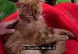 유튜버 김한량 실크로드 횡단 11200km 536일 종료.