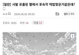 체인소맨 숨겨진 메시지를 찾은 톱붕이..jpg
