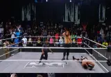 260602 WWE NXT 간략결과