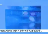 새로 입사한 성심당 막내직원