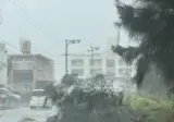어제 오키나와 태풍 영향