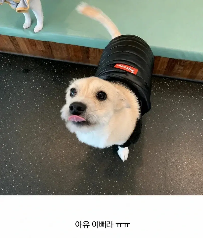 20260604204629_kVdeleGJnX.webp