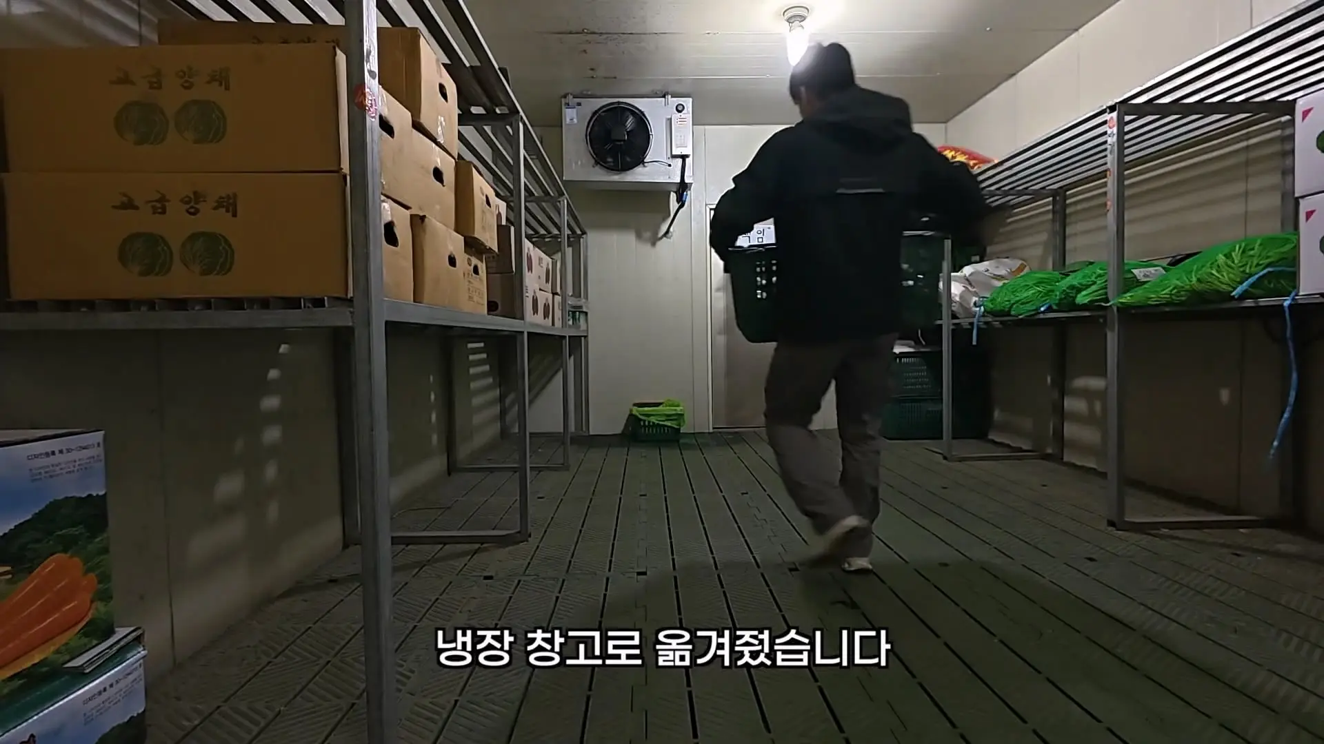 겨우 구한 첫 직장, 하루 만에 끝났습니다 ep.1_20260604_231428.077.jpg