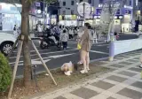 민폐 중국인 관광객들 보면 신기한 거