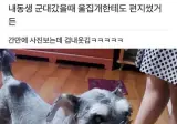 군대 간 동생이 자기 집 개한테 쓴 편지 ㅋㅋㅋㅋㅋㅋㅋㅋㅋㅋㅋㅋㅋ