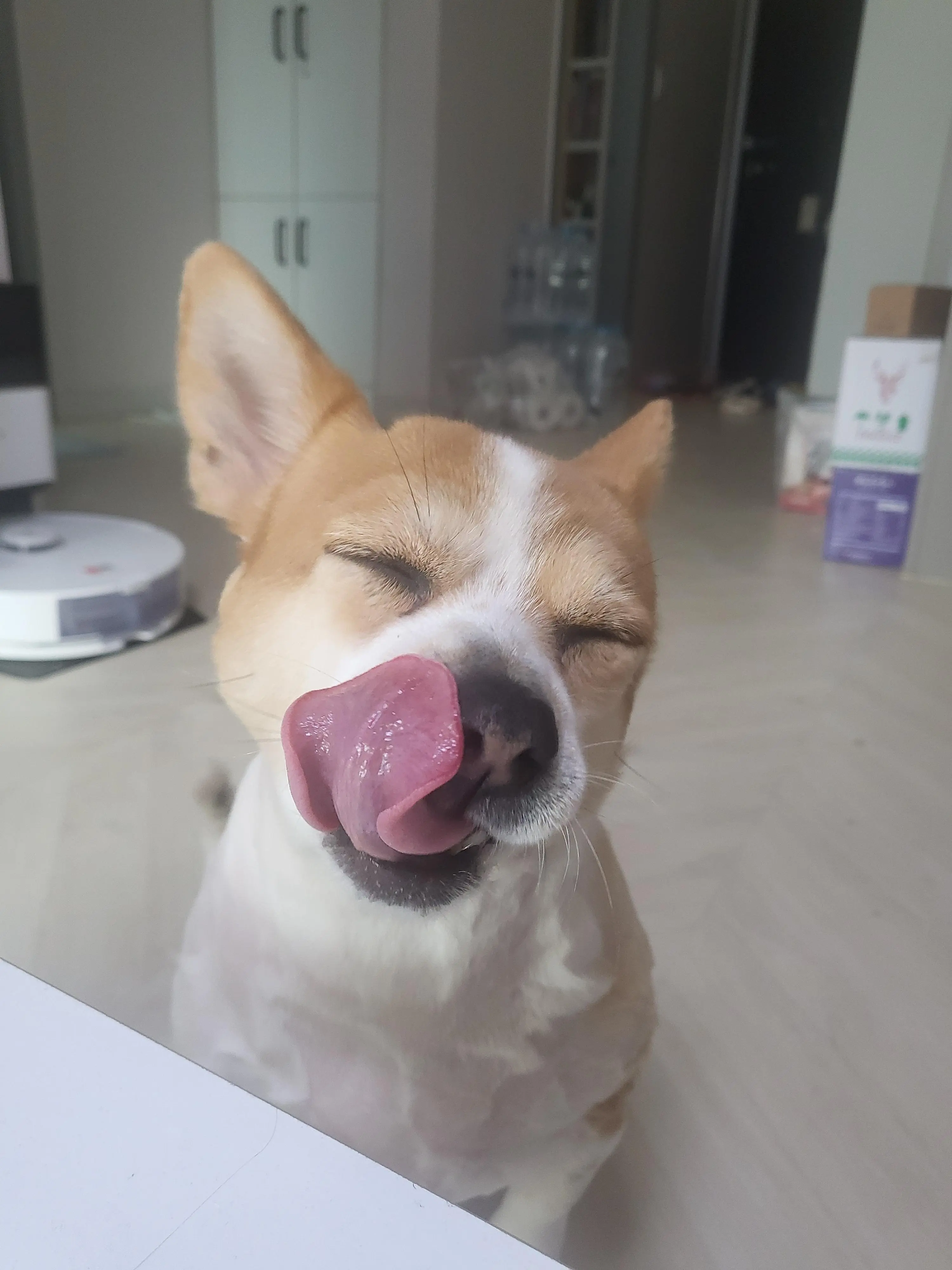 KakaoTalk_20260605_165249439_07.jpg