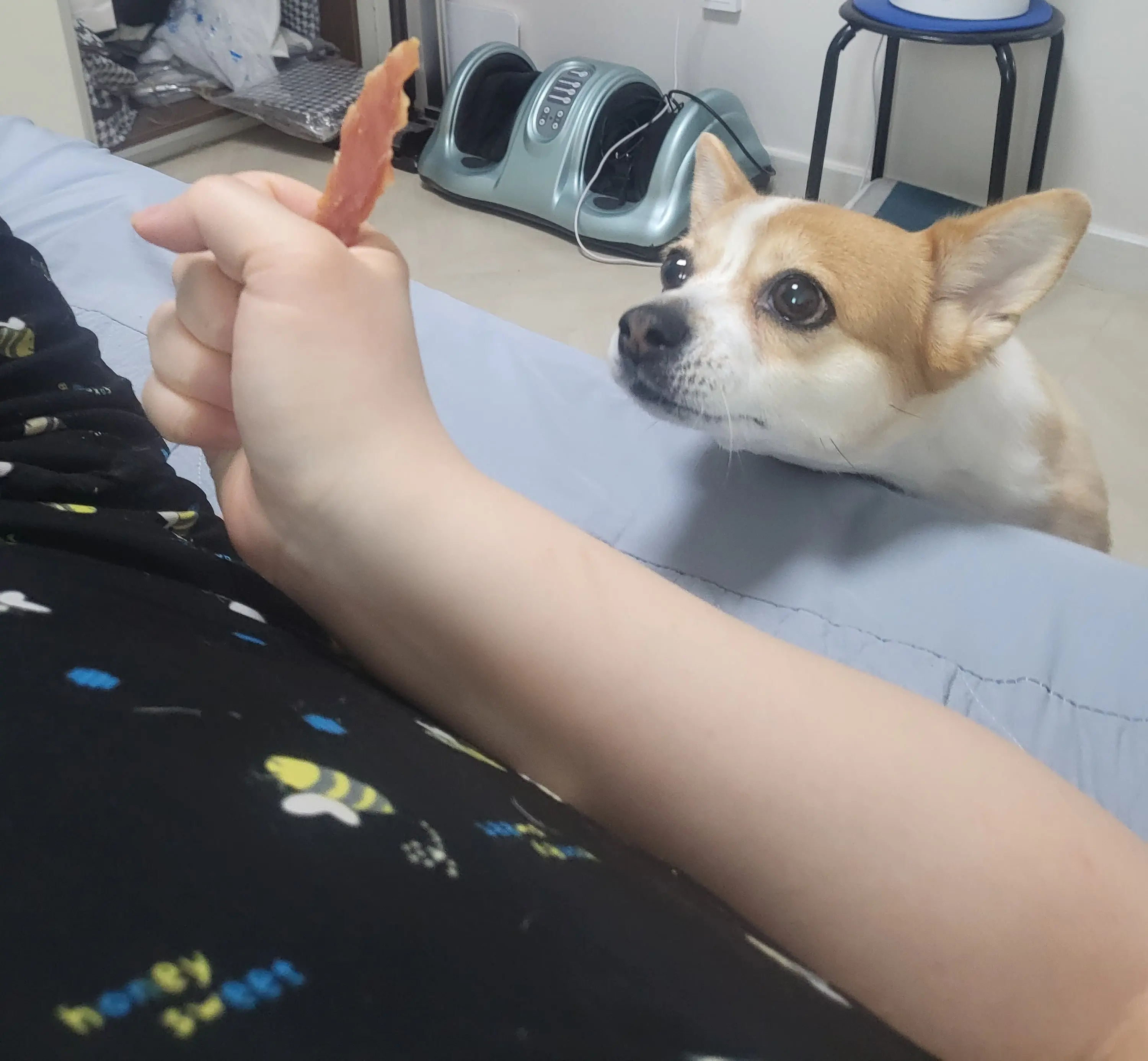 KakaoTalk_20260605_165249439_06.jpg