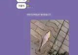 낚시 오픈챗방에서 강퇴당한 사람