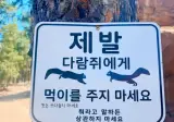 람쥐썬더에게 먹이를 주지 마시오