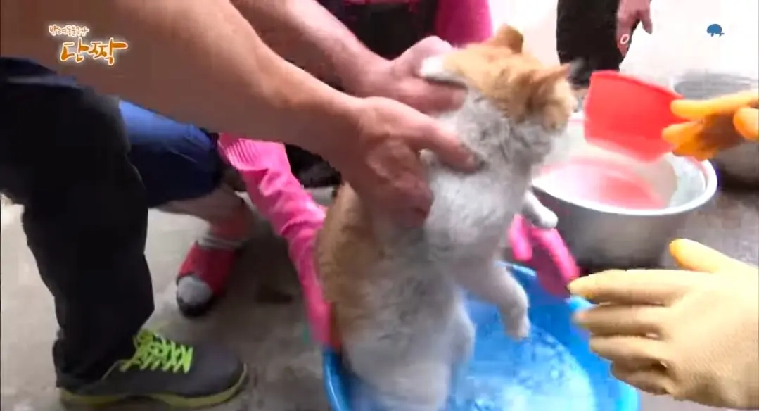 Screenshot_20260606_144718_YouTube.jpg