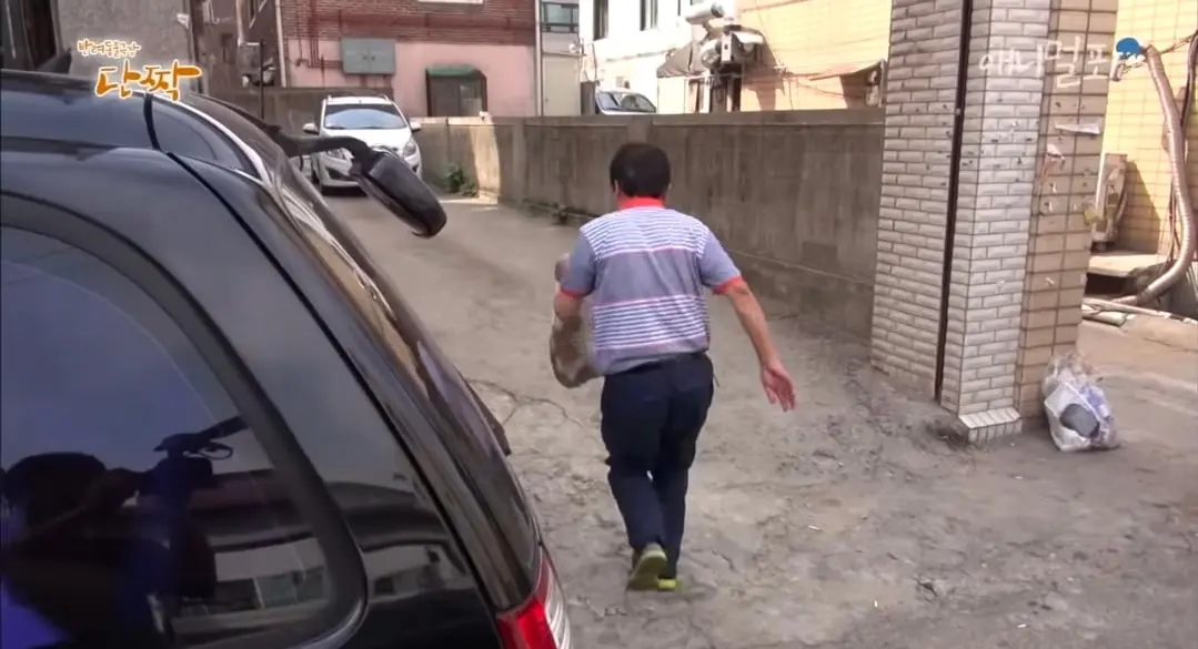 Screenshot_20260606_151919_YouTube.jpg