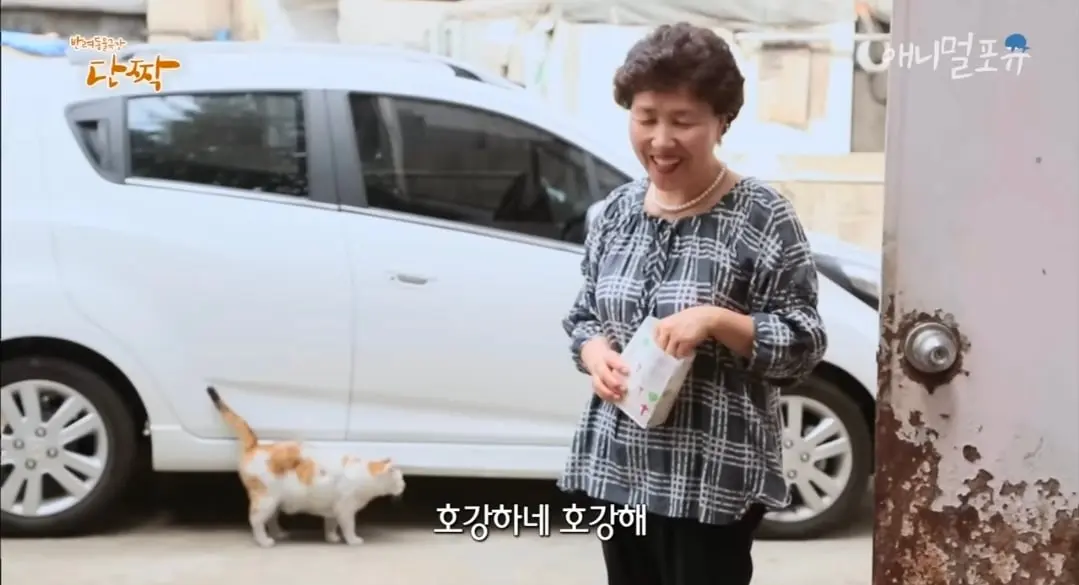 Screenshot_20260606_150540_YouTube.jpg
