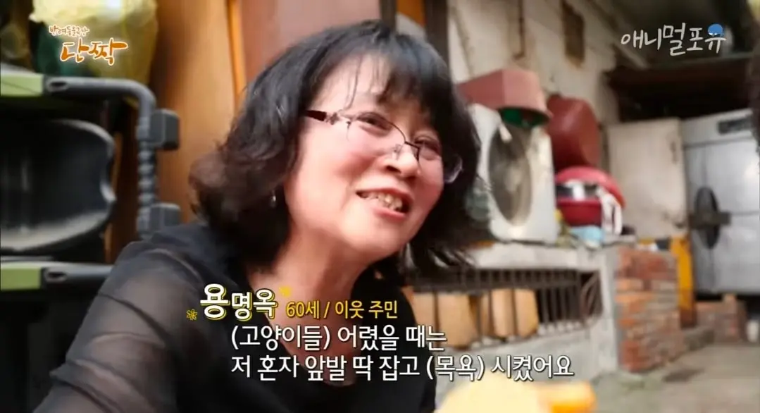 Screenshot_20260606_152149_YouTube.jpg
