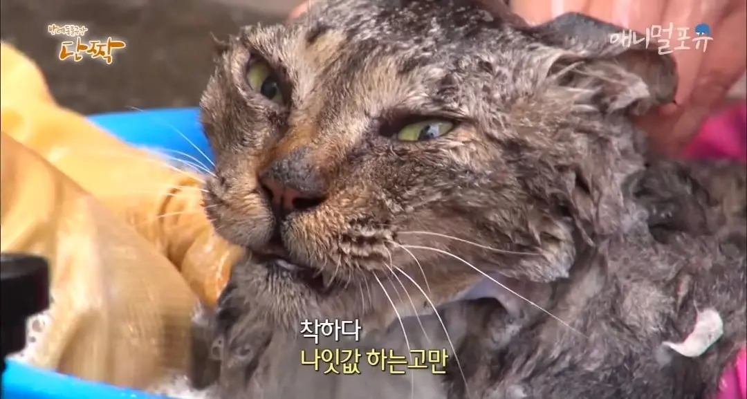 Screenshot_20260606_152529_YouTube.jpg