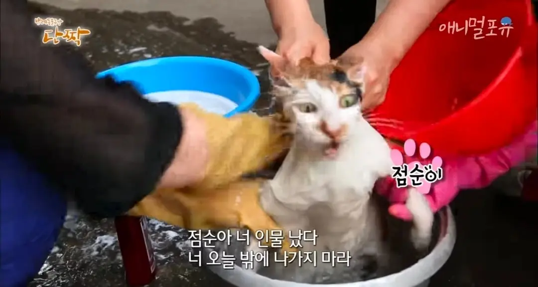 Screenshot_20260606_152020_YouTube.jpg