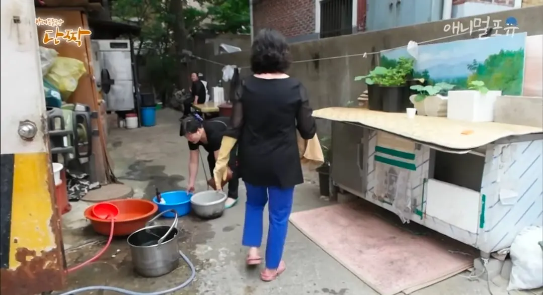 Screenshot_20260606_144444_YouTube.jpg