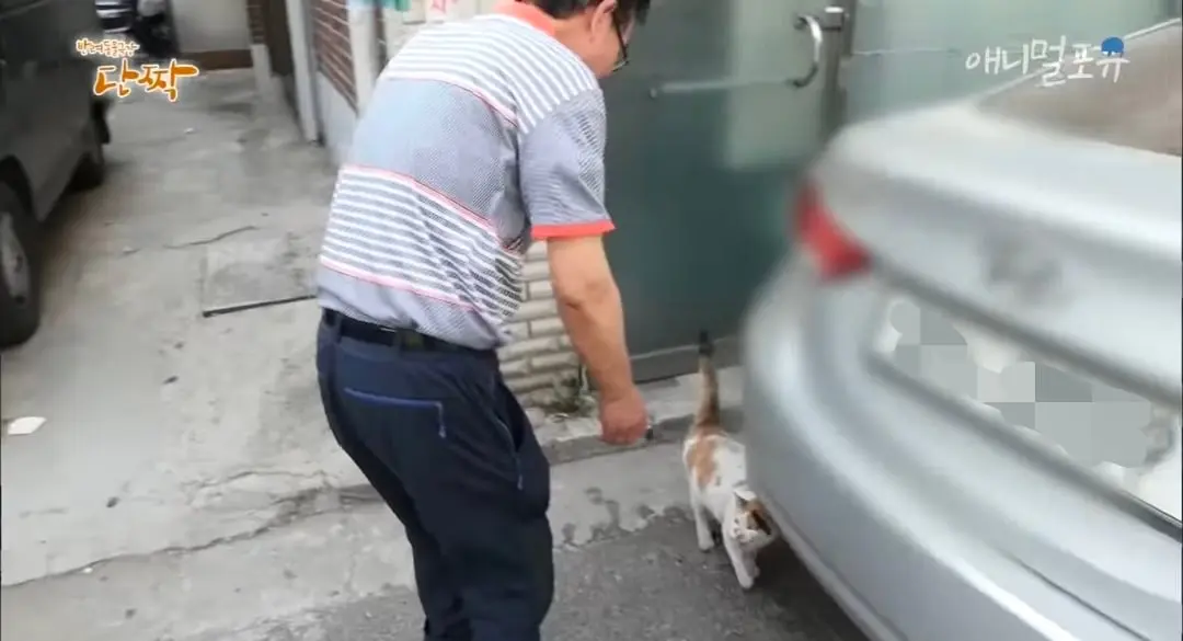 Screenshot_20260606_151750_YouTube.jpg