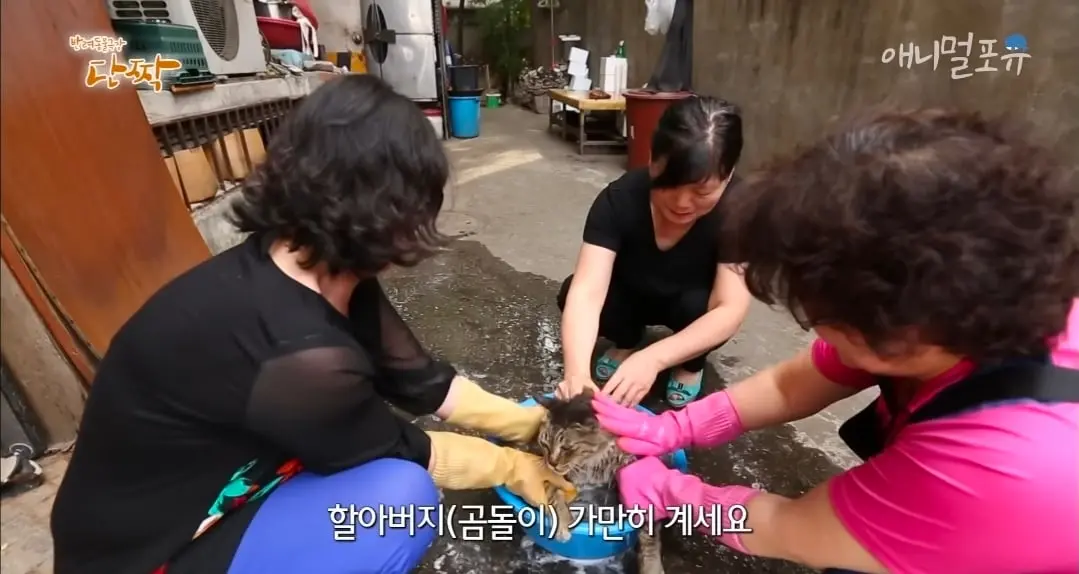 Screenshot_20260606_152512_YouTube.jpg