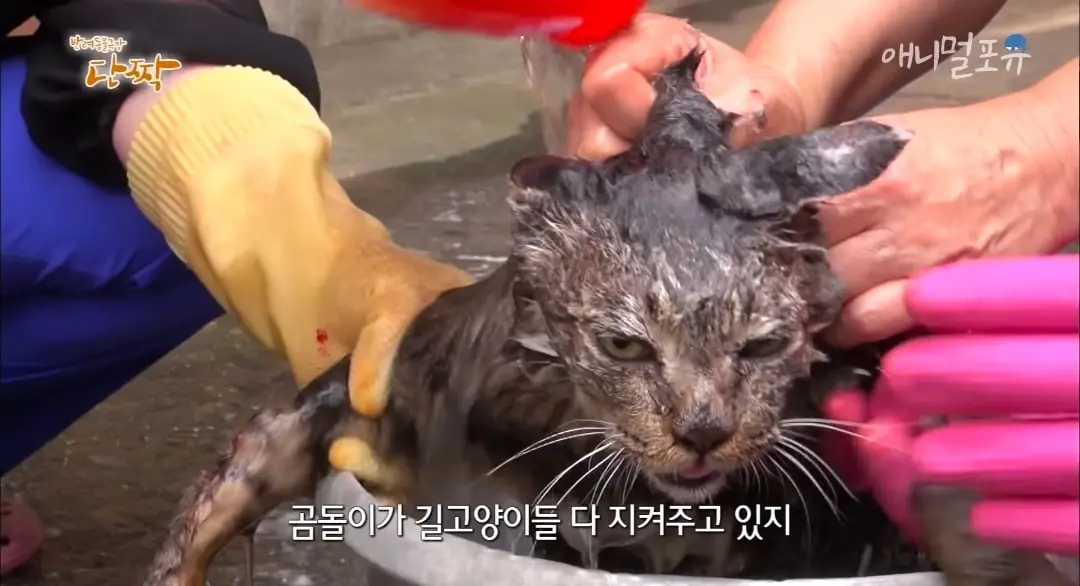 Screenshot_20260606_152722_YouTube.jpg