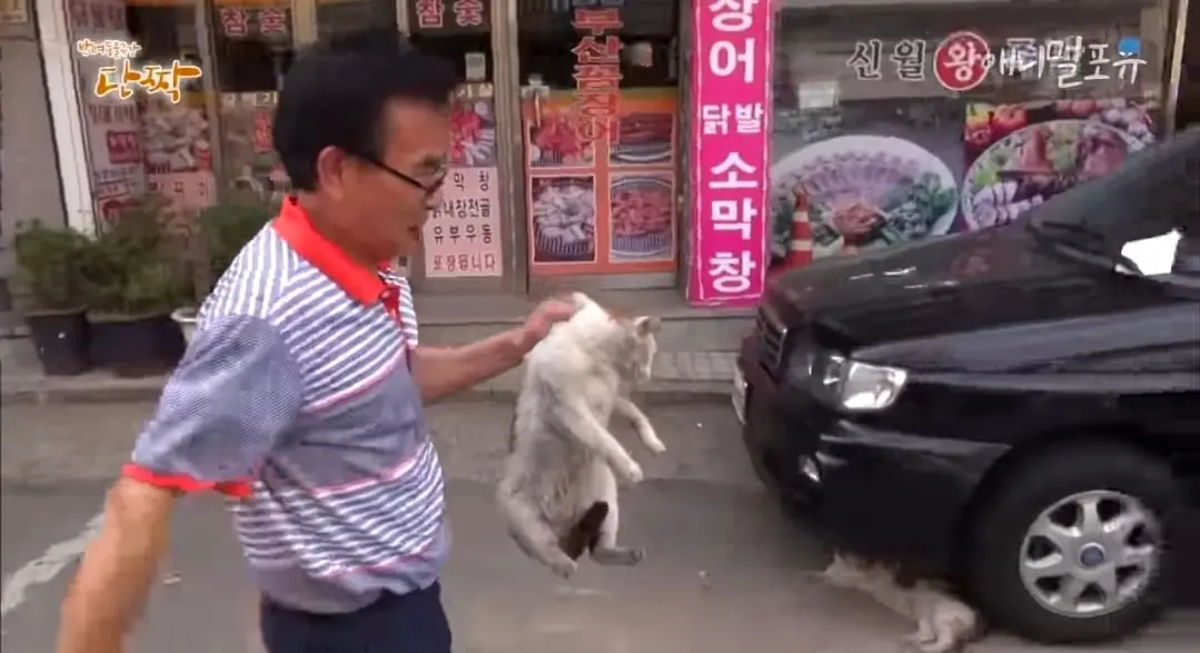 Screenshot_20260606_151856_YouTube.jpg