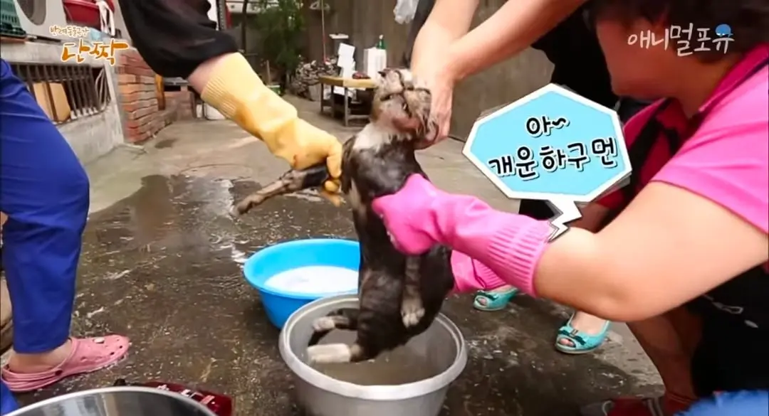Screenshot_20260606_153408_YouTube.jpg