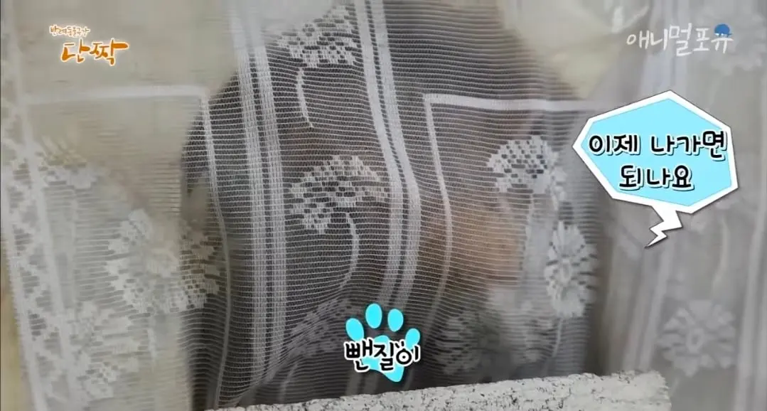 Screenshot_20260606_153536_YouTube.jpg
