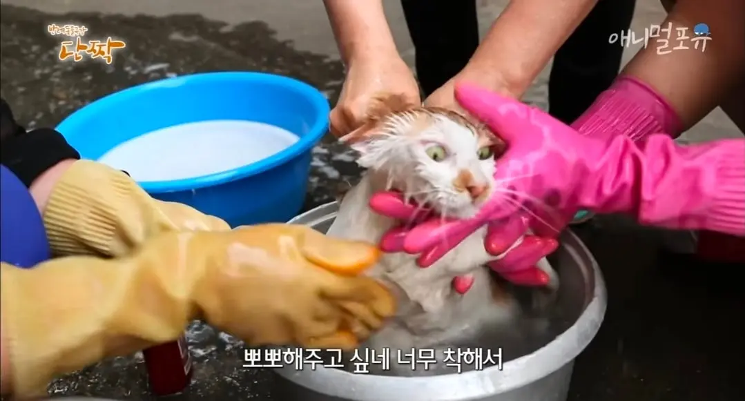 Screenshot_20260606_152114_YouTube.jpg